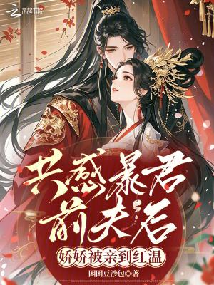 法不轻传我全网免费