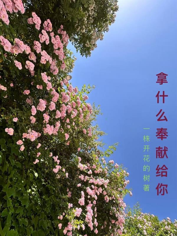 杀穿巅峰赛,你管这叫跑刀主播