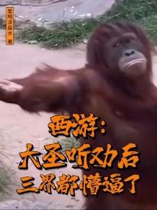 变身失落公主,我在新手村卖核弹