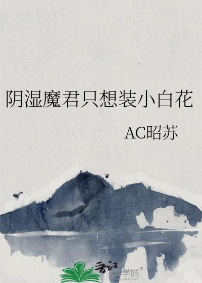 林老师的秘密情人