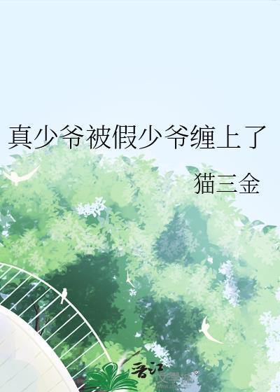 真少爷被假少爷缠上了